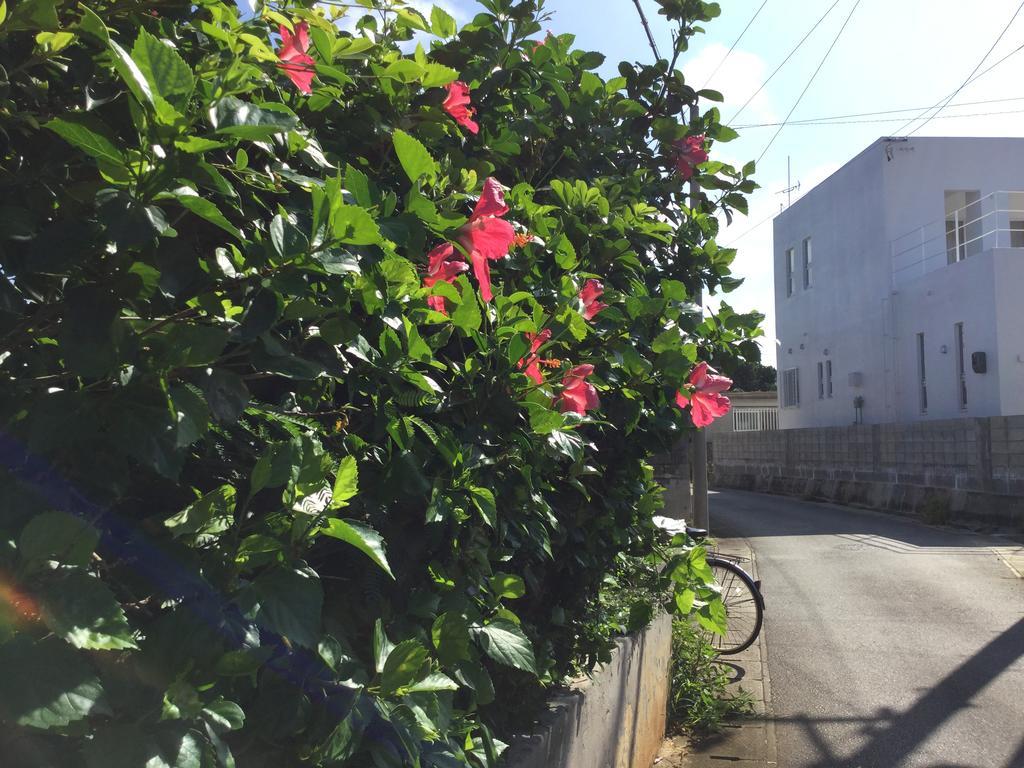 Seaside House Nirai Villa Miyakojima  Exterior photo